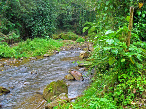 Aun en foto se ve refrescante